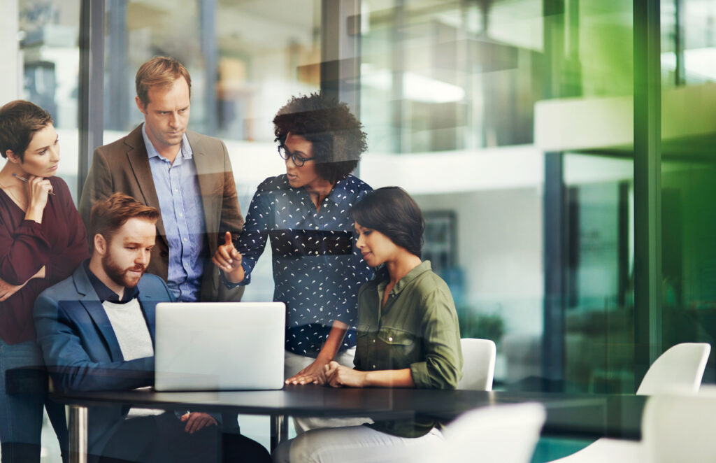 Group of IT and business professionals discussing business software solutions - choosing between the use of cloud computing or on-premise software.